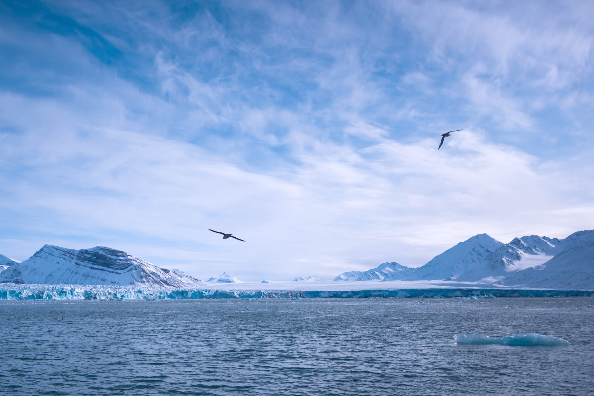 shutterstock_1114647401_1900